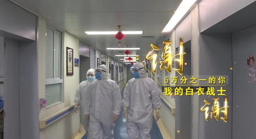 “守護天使”公益律師武漢上崗，為醫護筑起法律后盾